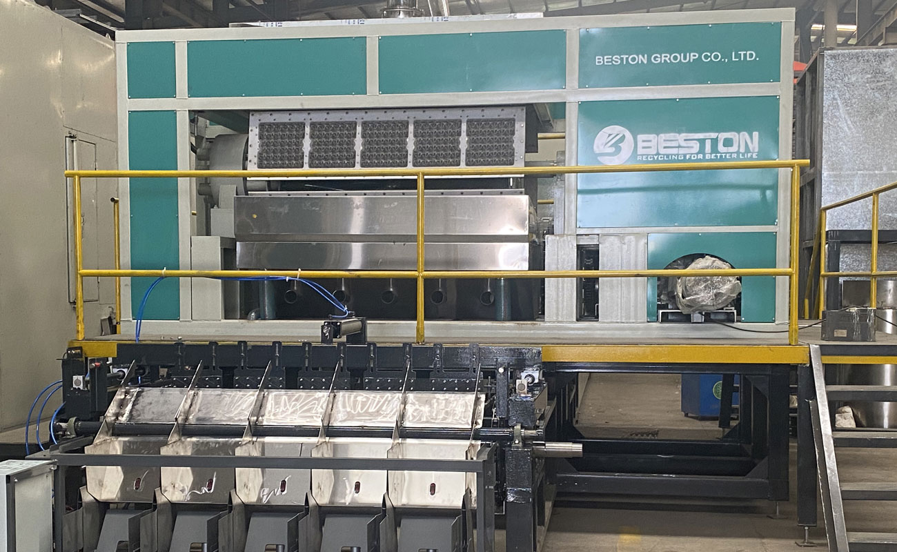 Egg Tray Manufacturing Machine - Process, Price and ROI