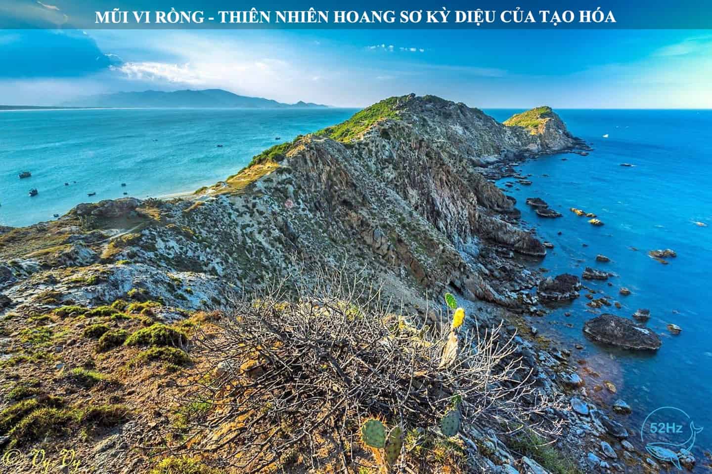 Khám phá Mũi Vi Rồng nét hoang sơ kỳ diệu của tạo hóa