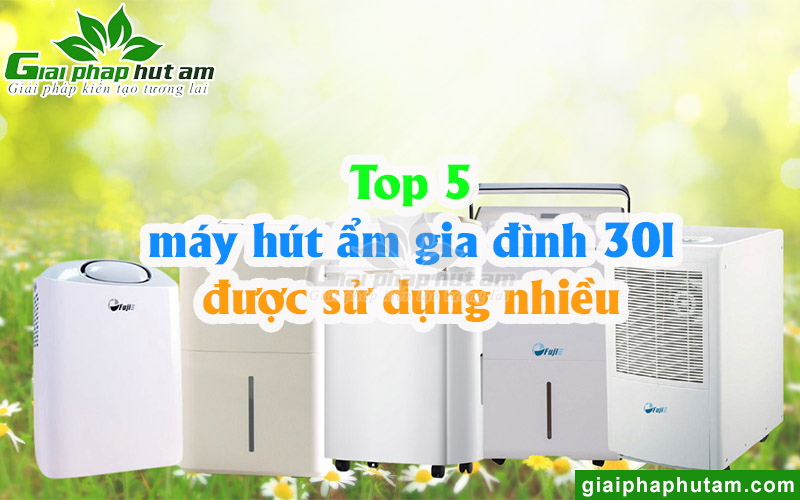 Top 5 Máy Hút Ẩm Giá Đình 30l Được Sử Dụng Nhiều Trong Các Hộ Gia Đình
