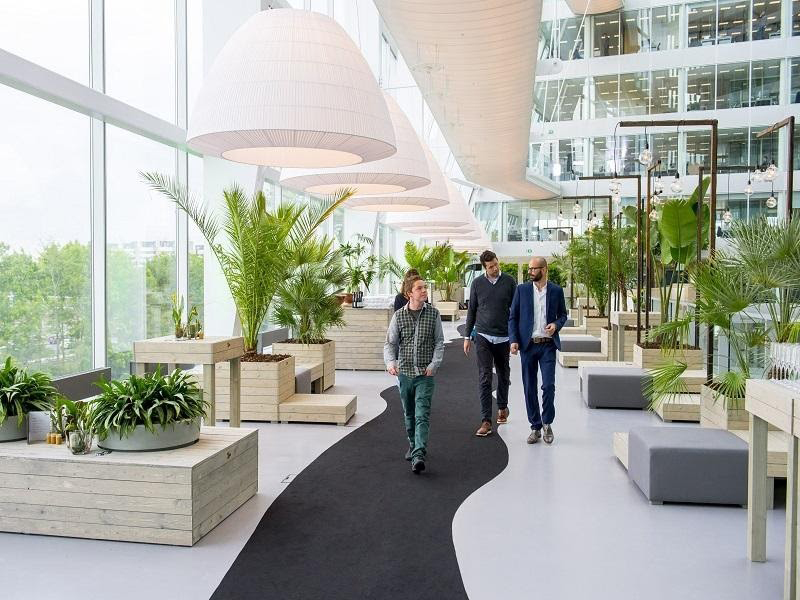 Làm thế nào để tạo nên không gian làm việc thoải mái cho nhân viên?