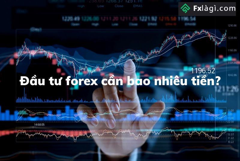 Đầu Tư Forex Cần Bao Nhiêu Tiền Để Bắt Đầu Giao Dịch
