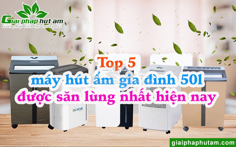 Top 5 Máy Hút Ẩm Gia Đình 50l Được Săn Lùng Trên Thị Trường