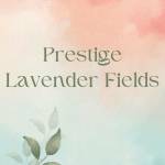 Prestige Lavender Fields