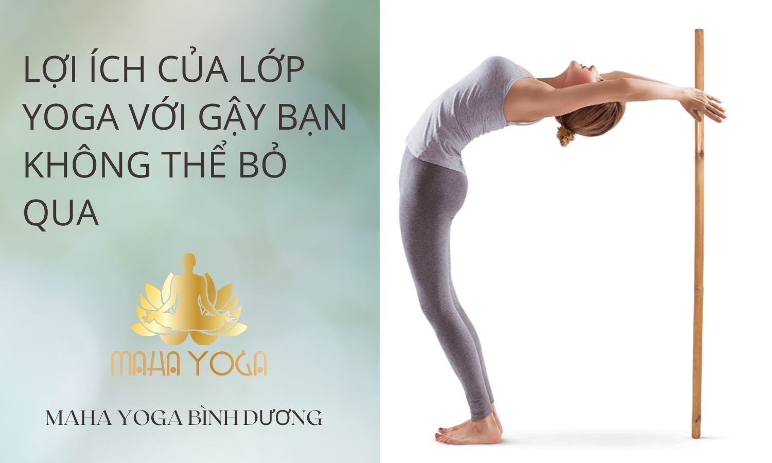 LỢI ÍCH CỦA LỚP YOGA VỚI GẬY BẠN KHÔNG THỂ BỎ QUA - Maha Yoga