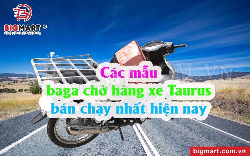 Những Mẫu Baga Chở Hàng Xe Taurus Bán Chạy Nhất Hiện Nay