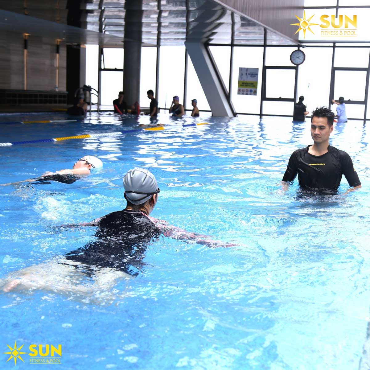 Cách học bơi cơ bản cho người mới bắt đầu