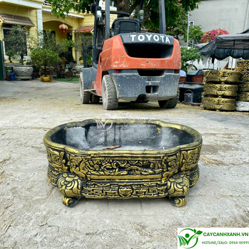 Chậu oval bầu dục - Chậu giành các cây bonsai, kích thước nhỏ