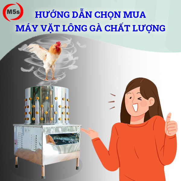 Hướng dẫn chọn mua máy vặt lông gà chất lượng, bền, giá tốt