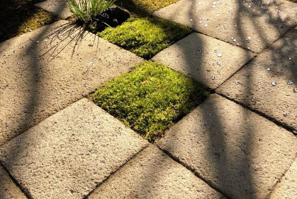 Báo giá đá granite lát sân vườn 2022