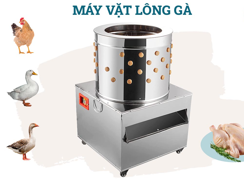 Mẹo làm sạch lông măng vịt bằng máy vặt lông gà vịt