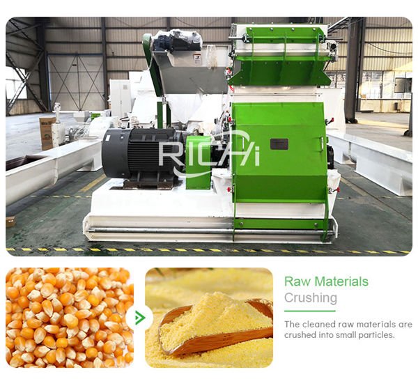 Hammer Mill Feed Grinder - RICHI Machinery