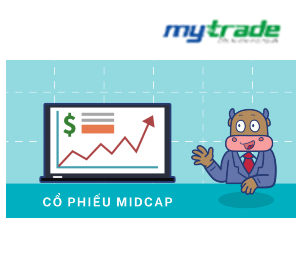 Cổ phiếu Midcap là gì? Có nên đầu tư cổ phiếu midcap