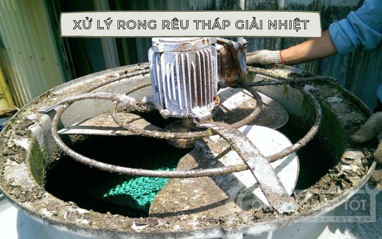 Cách ngăn ngừa và xử lý rong rêu tháp giải nhiệt nước ✳️