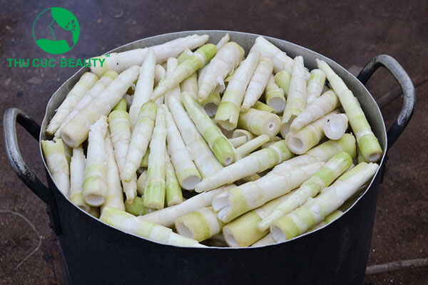 Nâng mũi ăn măng được không - Thẩm mỹ Thu Cúc