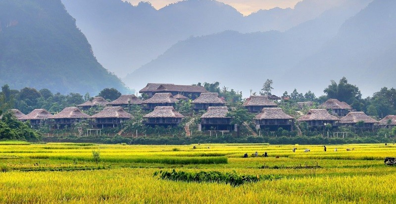 Khám phá bản Lác Mai Châu Hòa Bình chi tiết nhất 2022