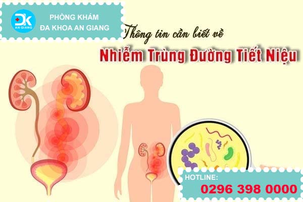 Thông tin cần biết về nhiễm trùng đường tiết niệu