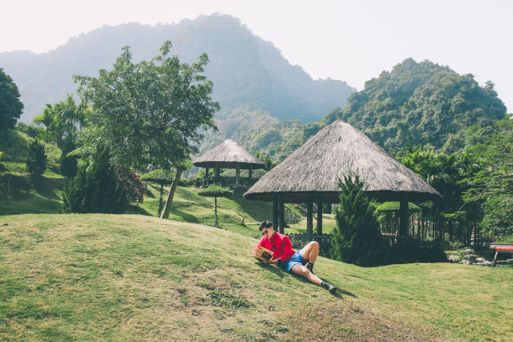 Kinh nghiệm du lịch Vườn chim Thung Nham Ninh Bình