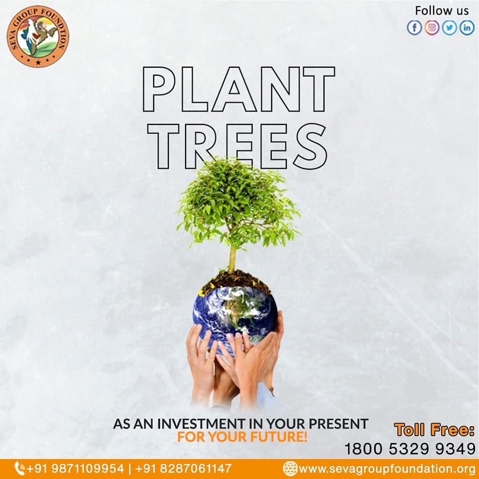 Creating a healthier and more sustainable planet