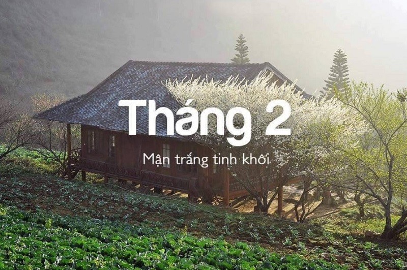 Du lịch Sapa tháng 2 có gì đẹp? Review kinh nghiệm