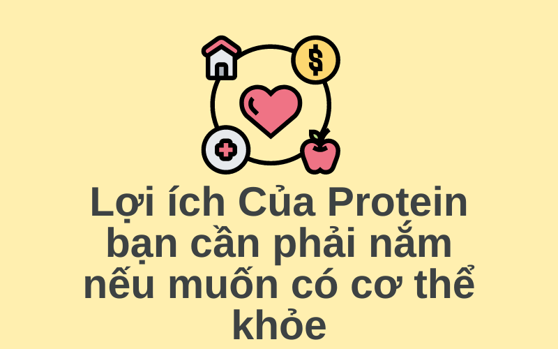 Lợi ích Của Protein bạn cần phải nắm nếu muốn có cơ thể khỏe