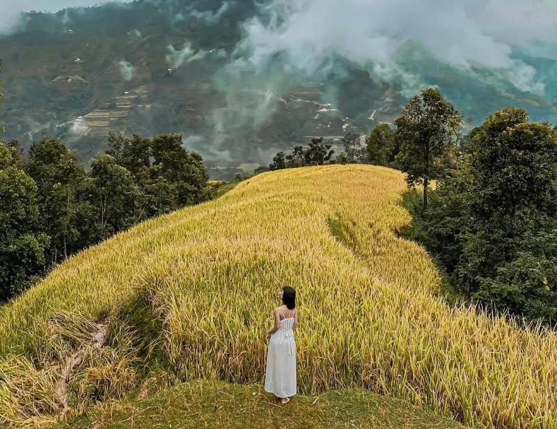 Vẻ đẹp ruộng bậc thang Hoàng Su Phì vào mùa lúa chín