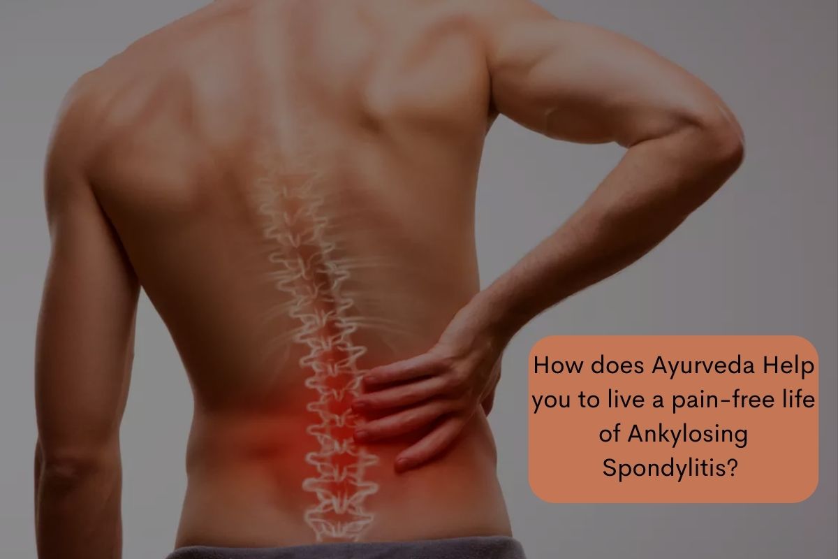 How does Ayurveda Help you to live a pain-free life of Ankylosing Spondylitis?  - Freshersnews