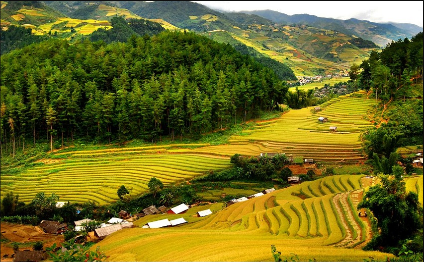 Tour Hà Nội – Mai Châu – Pù Luông 3 Ngày 2 Đêm - Luxtour