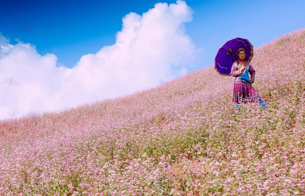 Kinh nghiệm du lịch Hà Giang tháng 12 tự túc