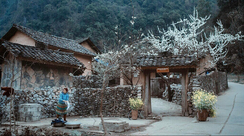 Du lịch Hà Giang tháng 1 có gì đẹp? Thời tiết Hà Giang tháng 1