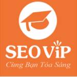 SEOViP Academy