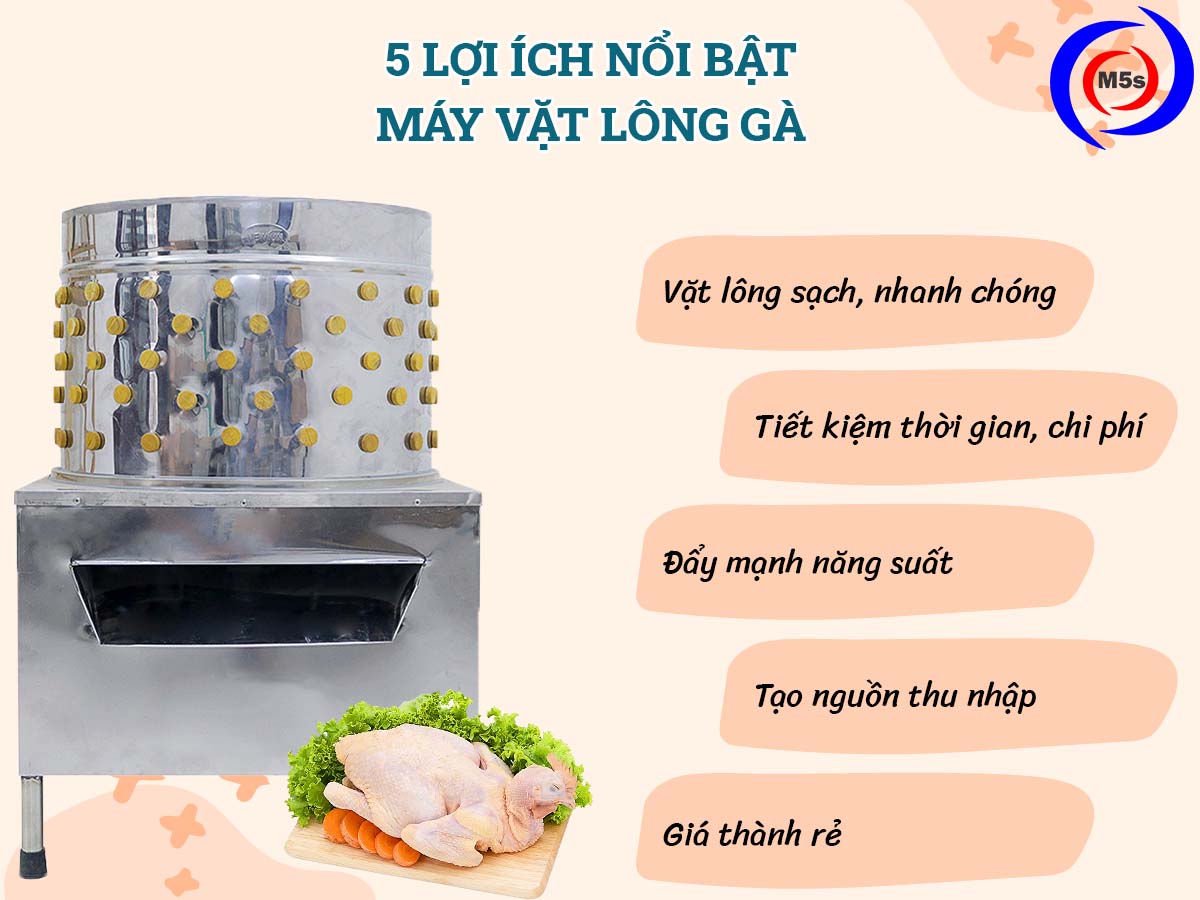 Hướng dẫn sử dụng máy vặt lông gà hiệu quả | TECHRUM.VN
