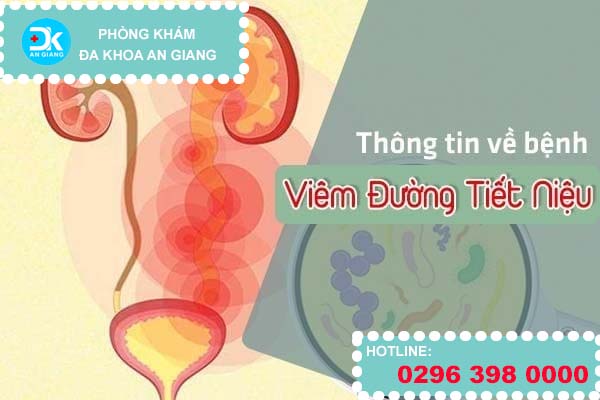 Nguyên nhân gây viêm đường tiết niệu do đâu?
