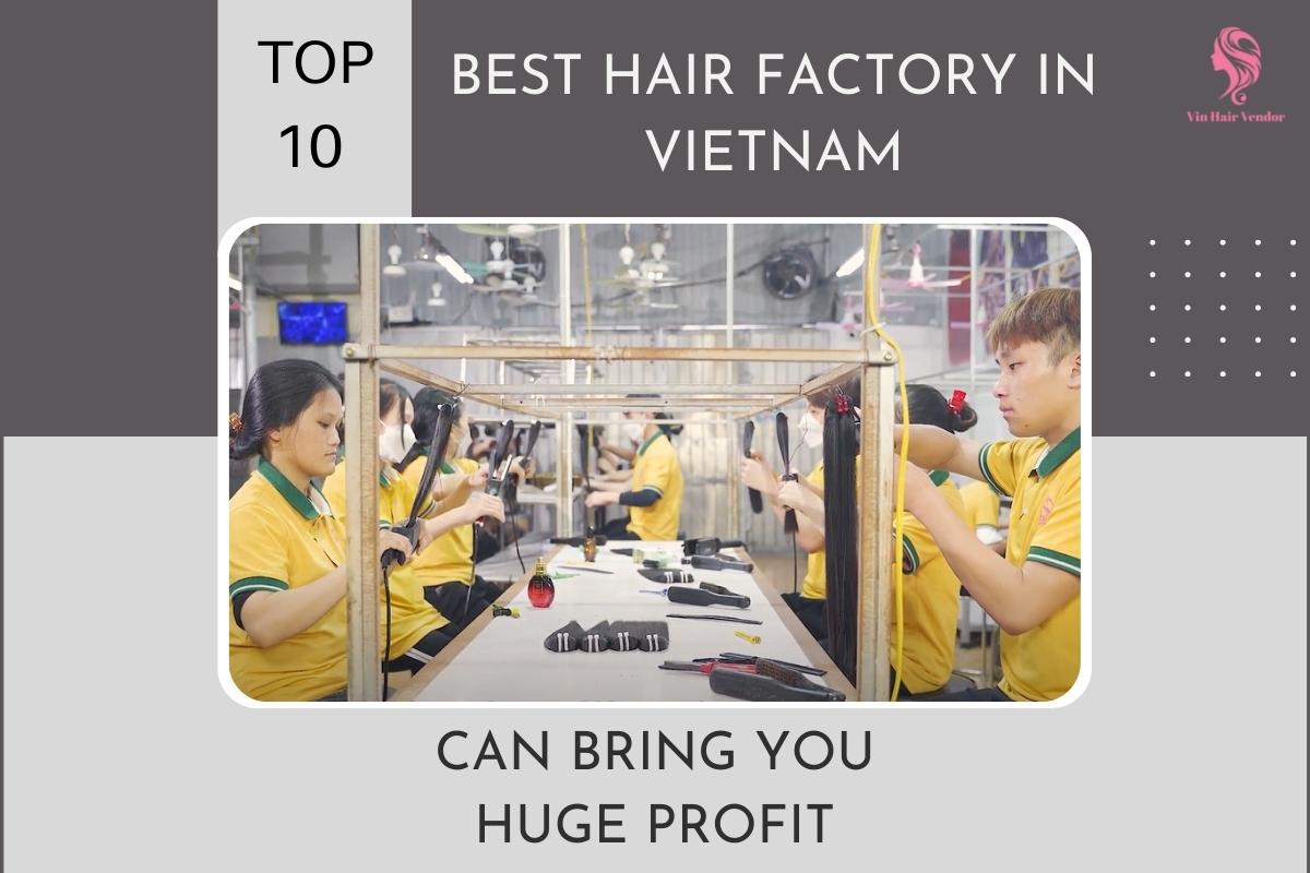 Top 10 Best Hair Factory In Vietnam You Should Know