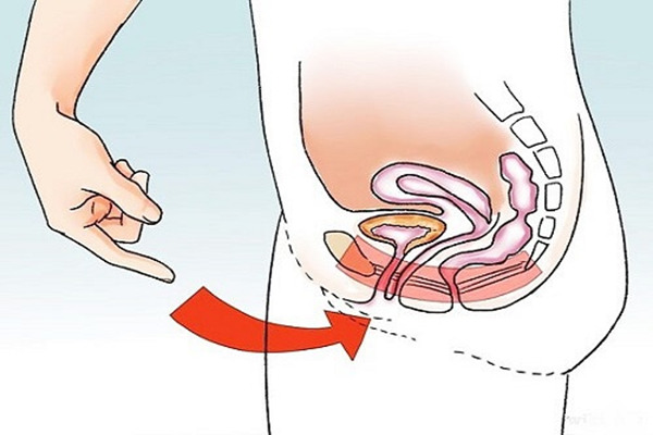 Xuất tinh ngược: Nguyên nhân và cách chữa trị hiệu quả