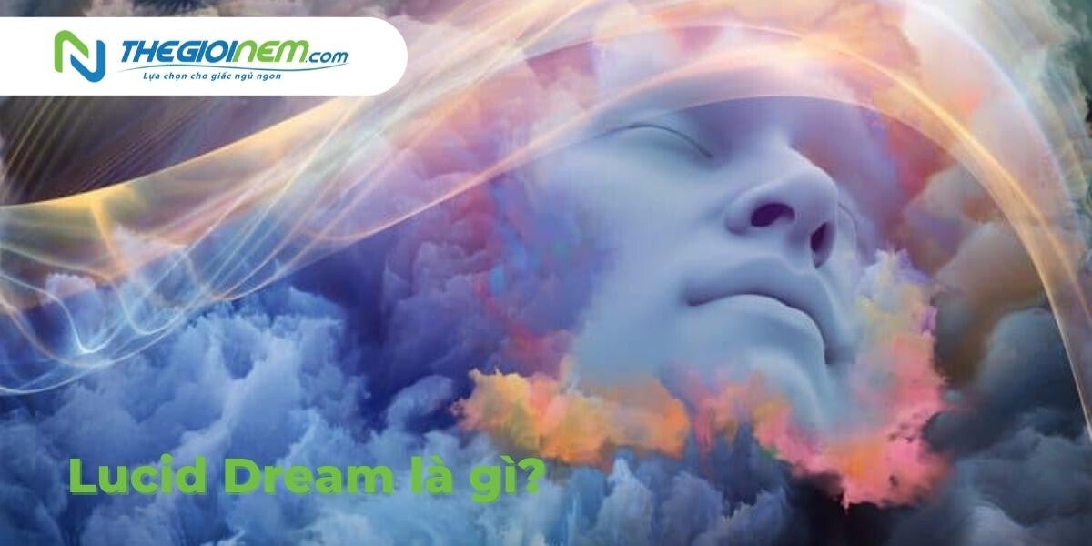 Lucid Dream Là Gì? Cách để đi vào Lucid Dream một cách an toàn | Nệm Cao Su Thiên Nhiên | Thegioinem.com
