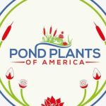 Pond Pants America