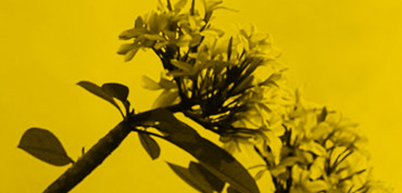 Commercial Design in Delhi | Commercial Design in Gurgaon