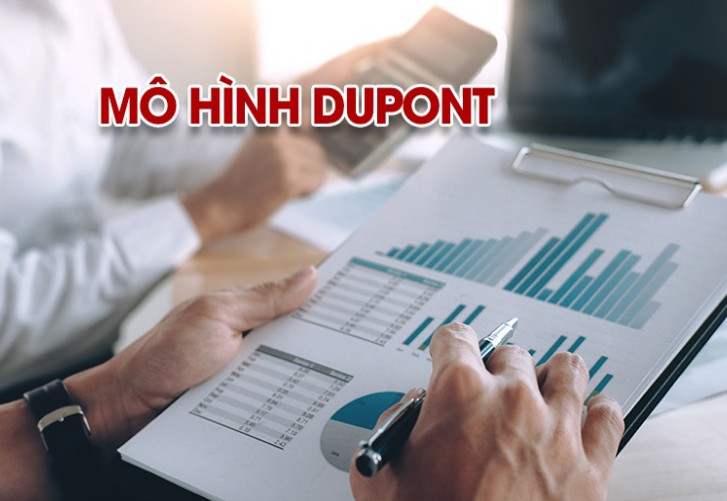 Mô hình Dupont là gì? Ưu điểm và hạn chế