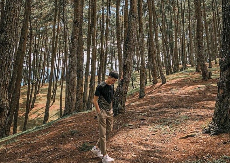 Du lịch Hà Giang tháng 6 có gì đẹp? Thời tiết Hà Giang tháng 6