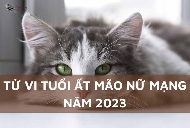 Bình giải tử vi tuổi Ất Mão 1975 nữ mạng năm 2023 - Thăng long đạo quán