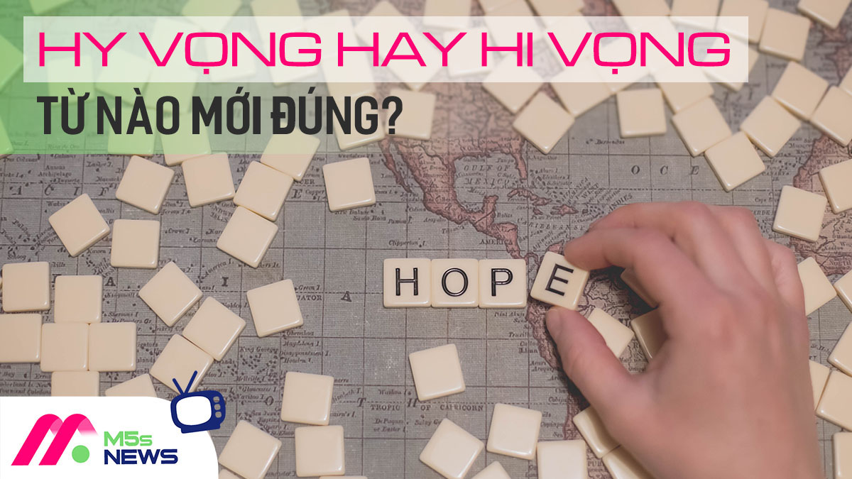 Hy vọng hay hi vọng là đúng? Quy tắc dùng “i”, “y” mới nhất