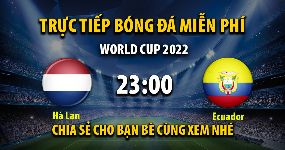Link trực tiếp Hà Lan vs Ecuador 22:59 ngày 25/11/2022 - Cakhia7.net