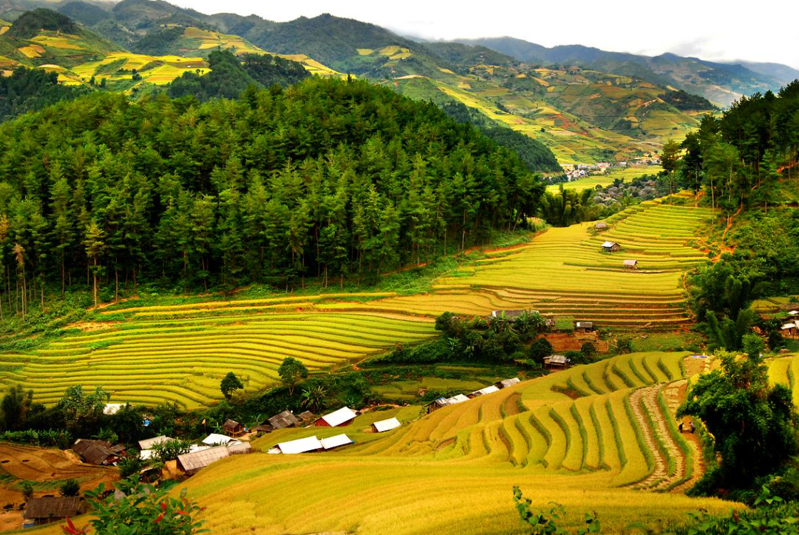 Du lịch Mai Châu: Kinh nghiệm du lịch Mai Châu từ A - Z