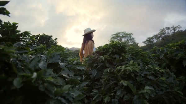 TV Commercial Production Company in Costa Rica | Pearltrees