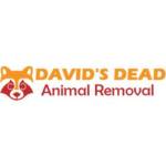 Dead Animal Removal