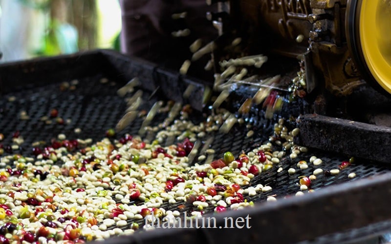 [New] Giải pháp xử lý nước thải ngành công nghiệp chế biến cà phê