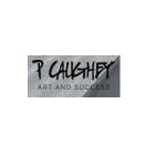 P Caughey Gallery LLC