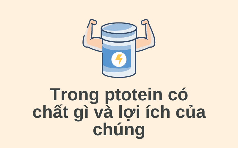 Trong egg protein có chất gì và lợi ích của chúng | Cửa Hàng Ăn Vặt Thèm