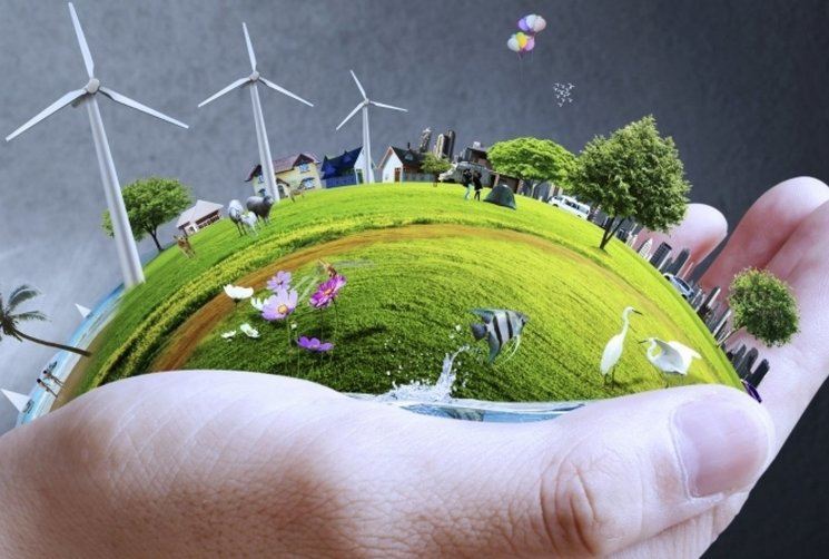 Is Your Company Sustainable? What Can You Do to Boost It?