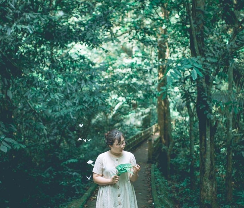 Kinh nghiệm du lịch Vườn Quốc Gia Cúc Phương